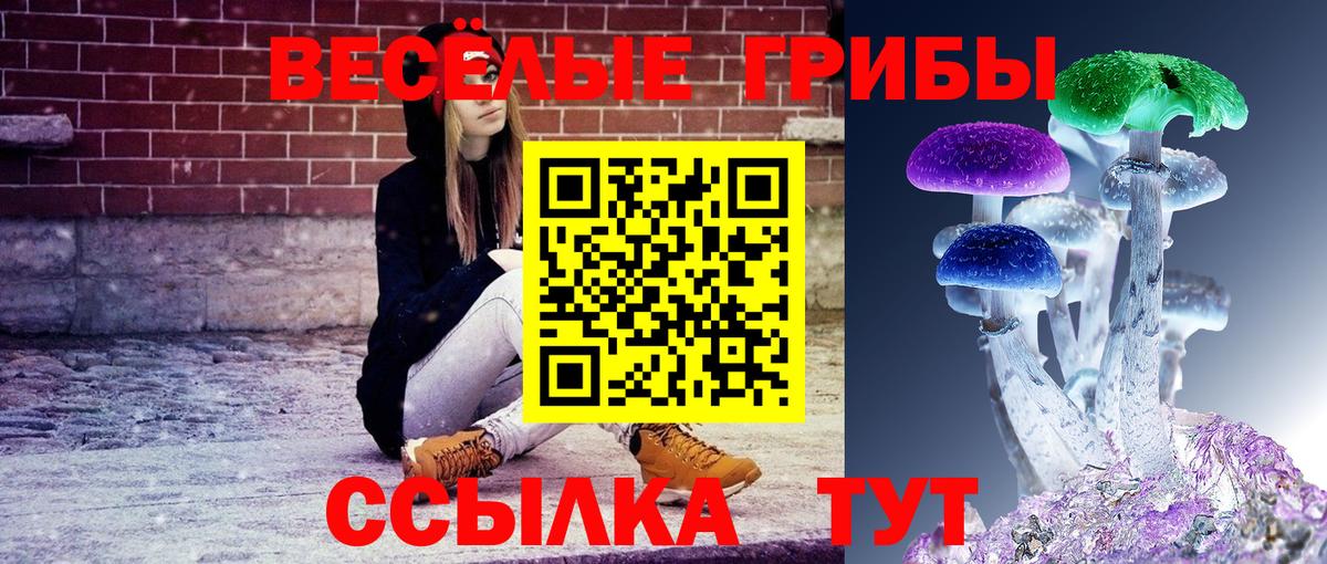 Галлюциногенные грибы MAGIC MUSHROOMS Гусь-Хрустальный